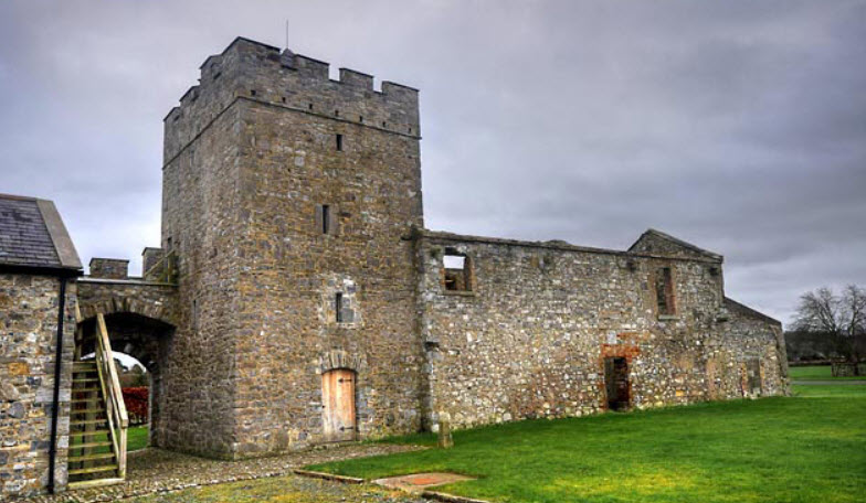 Reeves Castle, Ireland